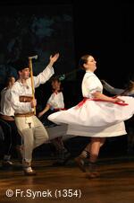 Národní krojový ples