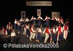 Folklorní festival Polabská Vonička